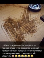 2706527165.jpg