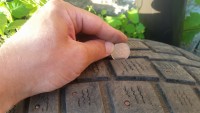 20190529_184330.jpg