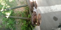 IMG_20190606_121817.jpg