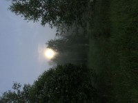 BD209D03-6A44-4275-9CCF-42762F674750.jpeg
