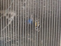 IMG-20190620-WA0011.jpg