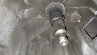 20190624_154343.jpg