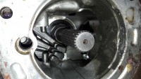 20190624_154354.jpg