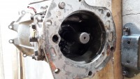 20190624_154310.jpg