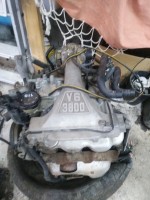 IMG_20190626_094352.jpg