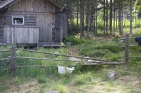 IMG_6281.JPG