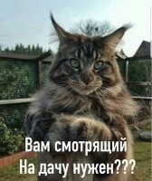2803427443.jpg