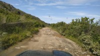IMG_20190721_102831.jpg