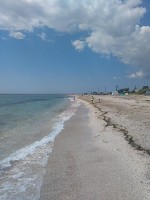 IMG_20190727_140025.jpg