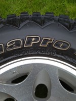 IMG_20190731_115752.jpg