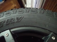 IMG_20190322_135306.jpg