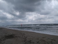 IMG_20190804_113551.jpg