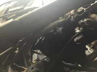 595CFBA0-C2AE-4771-AC3E-20DC364DA619.jpeg