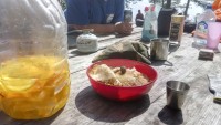IMG_20190724_130358_2.jpg