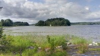 IMG_20190729_153527_0.jpg