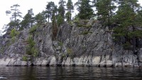 IMG_20190731_150428_2.jpg