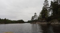 IMG_20190731_150456_7.jpg