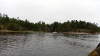 IMG_20190731_150542_2.jpg