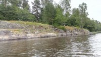 IMG_20190731_154848_6.jpg