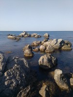 IMG_20190824_084044_1.jpg