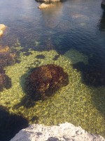 IMG_20190824_084056.jpg