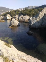 IMG_20190824_084145.jpg