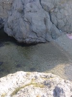 IMG_20190824_083925.jpg