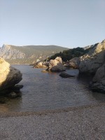 IMG_20190824_081015.jpg