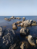 IMG_20190824_084044.jpg