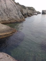 IMG_20190821_192251.jpg