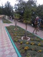 IMG_20190821_191645.jpg