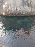 IMG_20190821_190938.jpg