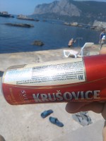 IMG_20190825_132441.jpg