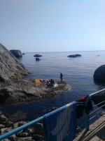 IMG_20190825_153606.jpg