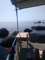 IMG_20190825_153555.jpg