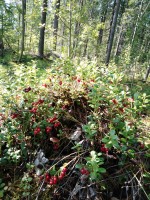 IMG_20190825_114756.jpg