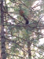 IMG_20190825_123613.jpg