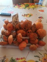IMG-20190825-WA0039.jpg