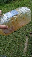 IMG_20190826_145733.jpg
