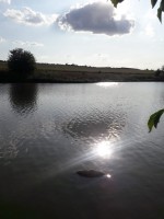 IMG-20190826-WA0011.jpg