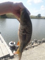 IMG-20190826-WA0012.jpg