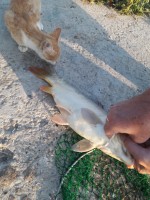 IMG-20190826-WA0016.jpg