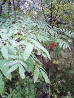 IMG_20190831_180831.jpg