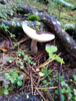 IMG_20190831_180514.jpg