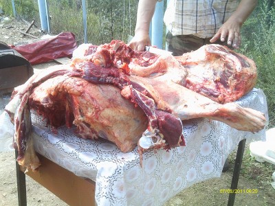 IMAG0344.JPG