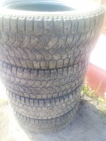 IMG_20190902_090543.jpg