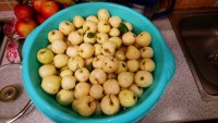 DSC_0059.jpg