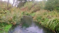 DSC_0050.jpg