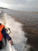 IMG_20190904_180238.jpg
