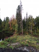 IMG_20190912_125732.jpg
